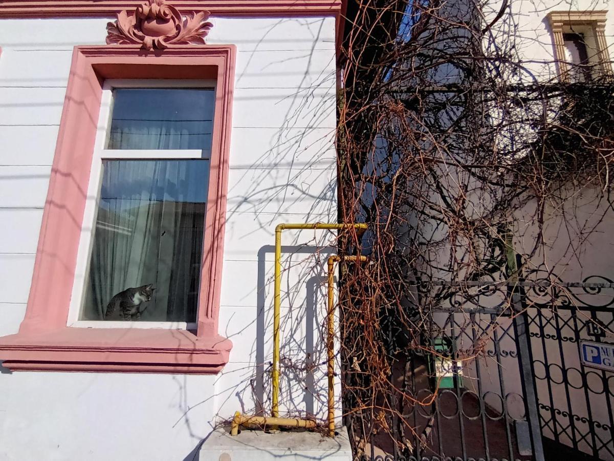 Apartament Casa Liveni Bukareszt Zewnętrze zdjęcie