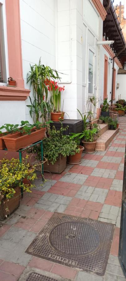 Apartament Casa Liveni Bukareszt Zewnętrze zdjęcie